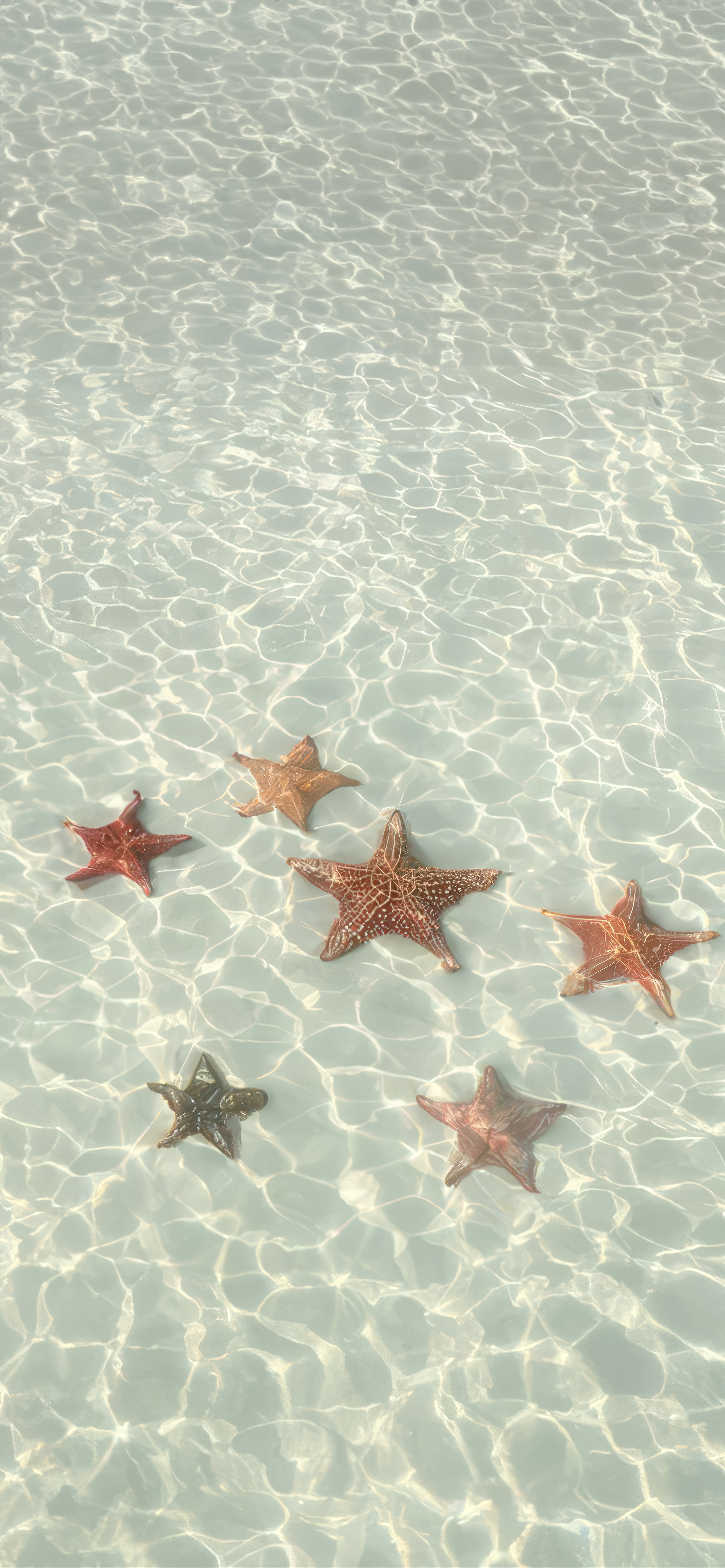 Perfect iOS Integration